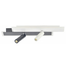 Потолочный светильник Escada 20047SMA/01LED WH/BK