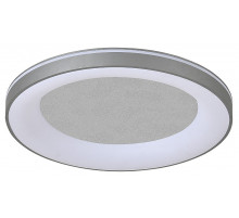 Потолочный светильник Escada Lemma 628/A LED