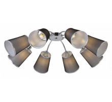 Потолочная люстра EVOLUCE MALEONTE SLE103002-08