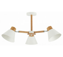 Потолочная люстра Evoluce Buve SLE103702-03