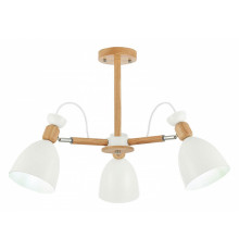 Потолочный светильник EVOLUCE BALCAMO SLE103802-03
