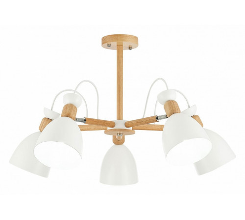 Потолочный светильник EVOLUCE BALCAMO SLE103802-05 Потолочный светильник EVOLUCE BALCAMO SLE103802-05