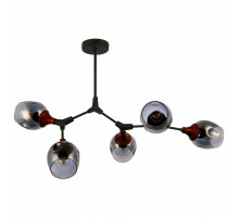 Потолочный светильник EVOLUCE CIOTOLLA SLE113402-05