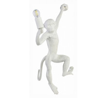 Бра Evoluce Tenato SLE115111-01