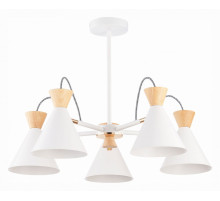 Потолочная люстра Evoluce Modica SLE125102-05