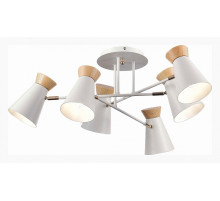 Потолочная люстра Evoluce Alfeo SLE1252-502-06