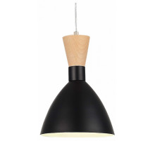 Подвесной светильник Evoluce Vista SLE1256-403-01