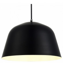 Подвесной светильник Evoluce Blank SLE1805-403-01