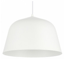 Подвесной светильник Evoluce Blank SLE1805-503-01