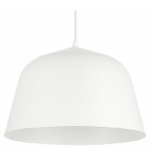 Подвесной светильник Evoluce Blank SLE1805-503-01