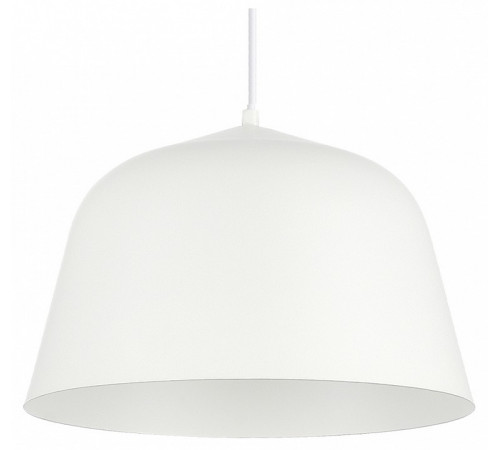 Подвесной светильник Evoluce Blank SLE1805-503-01