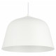 Подвесной светильник Evoluce Blank SLE1805-503-01