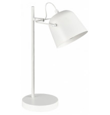 Настольная лампа Evoluce Blank SLE1805-504-01