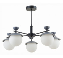 Подвесная люстра Evoluce Genova SLE220202-05