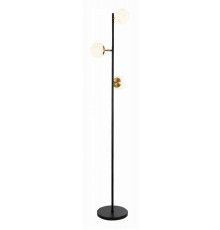 Торшер Evoluce Forli SLE220405-03