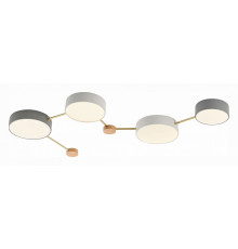 Потолочный светильник Evoluce Dossena SLE600102-04