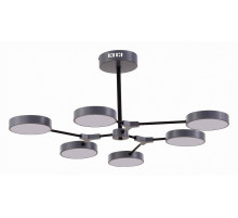 Потолочный светильник Evoluce Monta SLE6003-702-06
