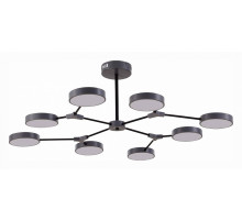 Потолочный светильник Evoluce Monta SLE6003-702-08