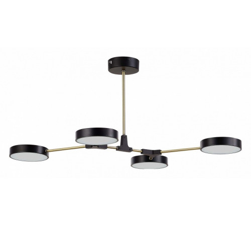 Потолочный светильник Evoluce Monta SLE6004-402-04 Потолочный светильник Evoluce Monta SLE6004-402-04