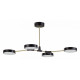 Потолочный светильник Evoluce Monta SLE6004-402-04