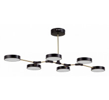 Потолочный светильник Evoluce Monta SLE6004-402-06