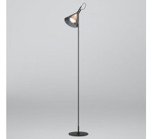 Торшер Eurosvet Enigma 01187/1 черный a069053