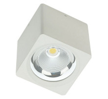Накладной светильник Fiberli CH-SD220-1 12120101