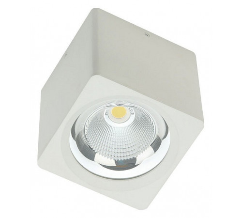 Накладной светильник Fiberli CH-SD220-1 12120101