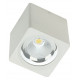 Накладной светильник Fiberli CH-SD220-1 12120101