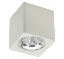 Накладной светильник Fiberli CH-SD230-1 12120102