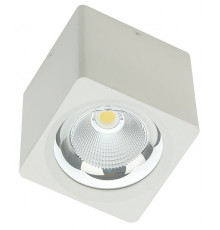Накладной светодиодный светильник Fiberli CH-SD220-1(W) 12120103