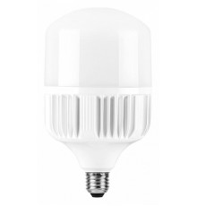 Лампа светодиодная Feron E27-E40 70W 6400K Цилиндр Матовая LB-65 25783