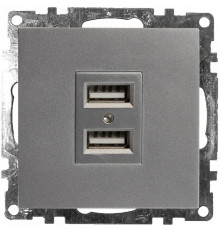 Розетка USB 2-местная Stekker Катрин 39588