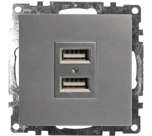 Розетка USB 2-местная Stekker Катрин 39588 Розетка USB 2-местная Stekker Катрин 39588