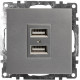 Розетка USB 2-местная Stekker Катрин 39588