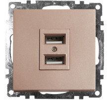 Розетка USB 2-местная Stekker Катрин 39602