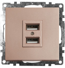 Розетка USB 2-местная Stekker Катрин 39602