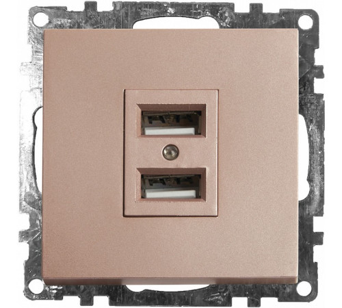 Розетка USB 2-местная Stekker Катрин 39602 Розетка USB 2-местная Stekker Катрин 39602