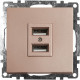 Розетка USB 2-местная Stekker Катрин 39602