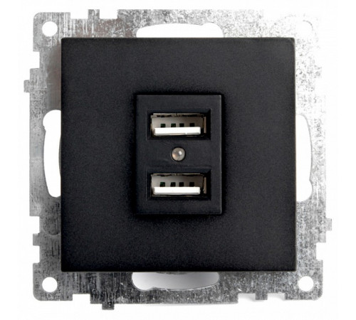 Розетка USB 2-местная Stekker Катрин 39616 Розетка USB 2-местная Stekker Катрин 39616