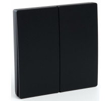 Выключатель беспроводной двухклавишный Feron TM82 41723