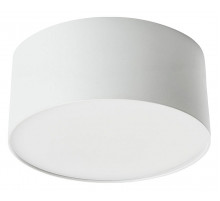 Потолочный светодиодный светильник Feron Simple matte AL200 48076