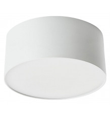 Потолочный светодиодный светильник Feron Simple matte AL200 48076