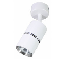 Настенно-потолочный светильник Feron ML1861 ZEN 48642