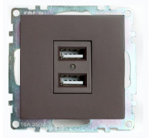 Розетка USB 2-местная Stekker Катрин GLS10-7115-04 49027