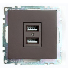 Розетка USB 2-местная Stekker Катрин GLS10-7115-04 49027