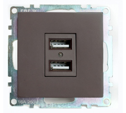 Розетка USB 2-местная Stekker Катрин GLS10-7115-04 49027 Розетка USB 2-местная Stekker Катрин GLS10-7115-04 49027