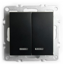 Выключатель 2-клавишный с индикатором Stekker Эрна PSW10-9102-03 49147