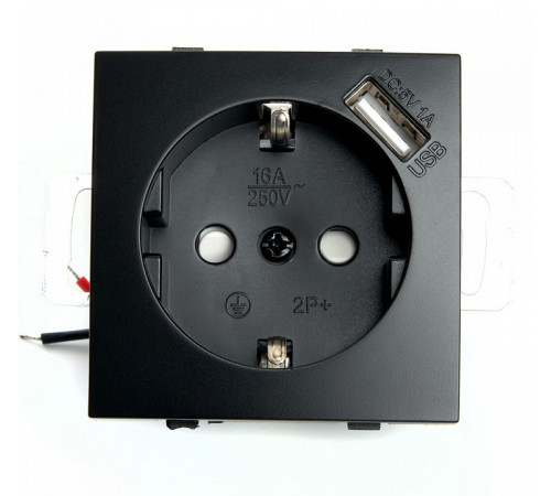 Розетка 1-местная с/з с защитной шторкой и USB Stekker Эрна PST16-9111-03 49155