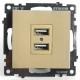 Розетка 2-местная USB Stekker Катрин GLS10-7115-08 49229